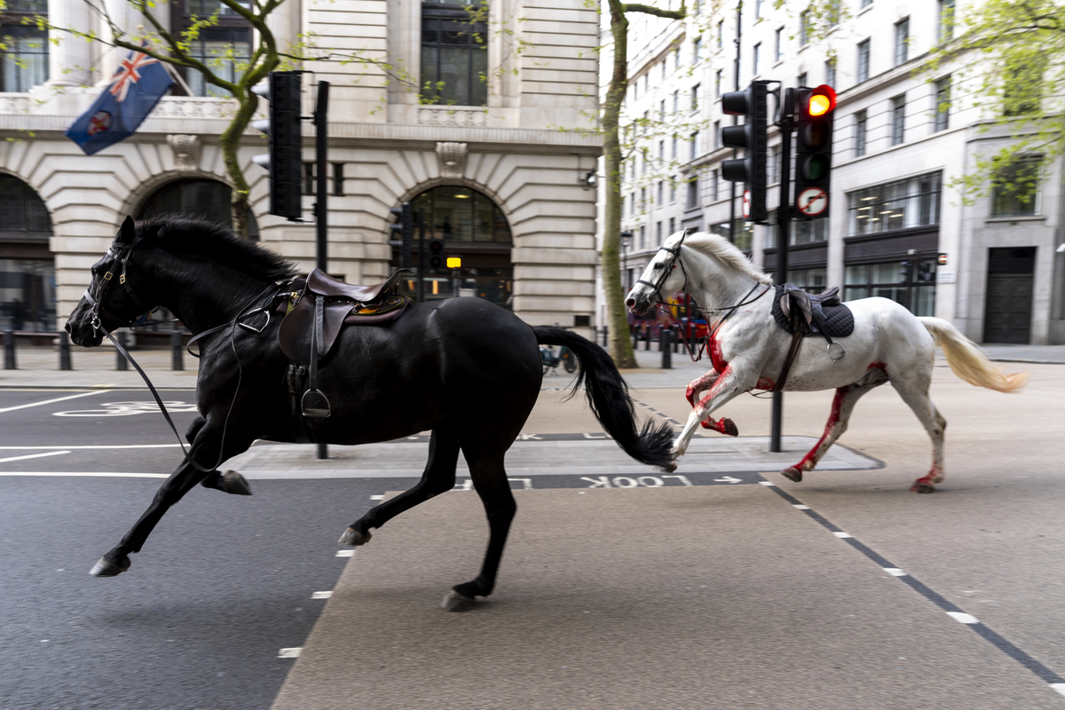 Hestene skal ha løpt store strekninger i London sentrum.