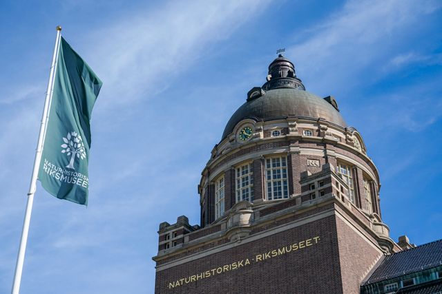Naturhistoriska riksmuseet i Stockholm kompenseras för inkomstbortfall. Arkivbild.