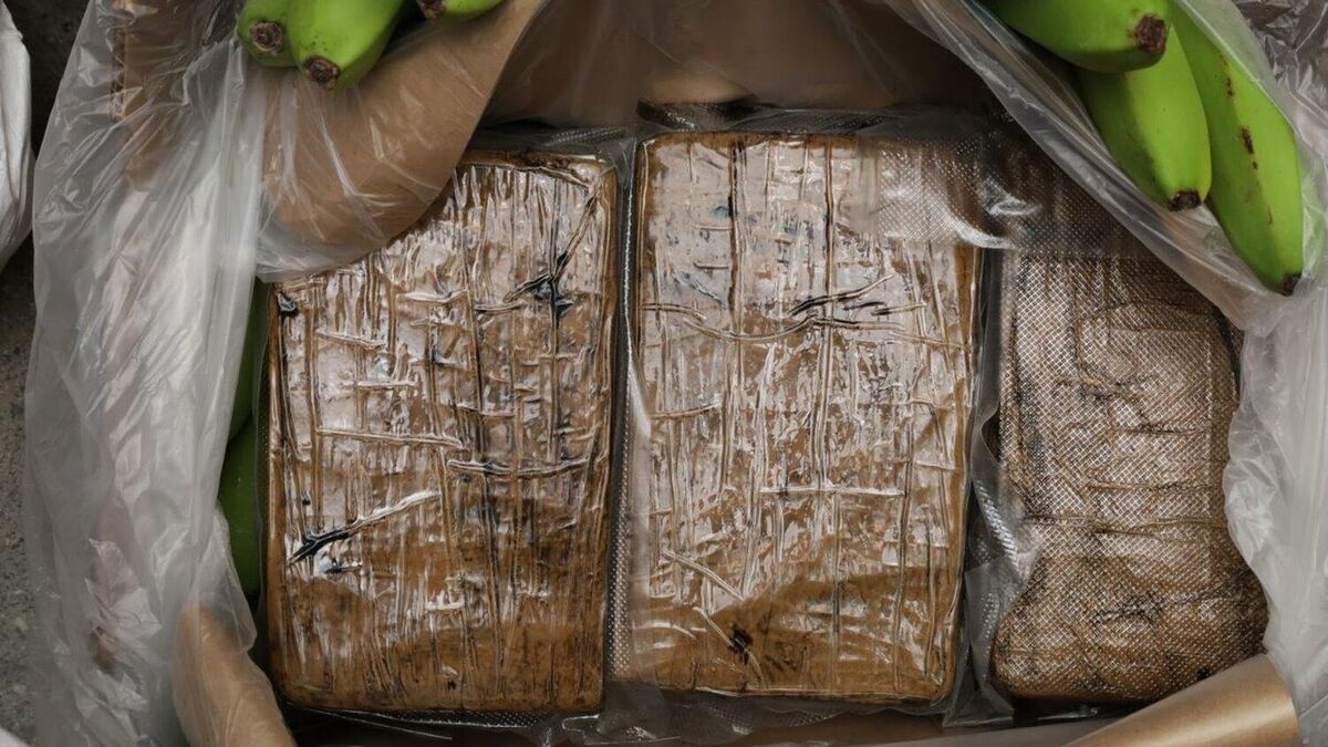 I mars i fjor ble det funnet over 800 kilo kokain i fruktkasser på Bama-lageret i Oslo. Foto: Oslo politidistrikt / NTB