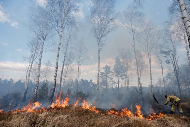 Det råder risk för gräsbränder i delar av Sverige. Arkivbild.