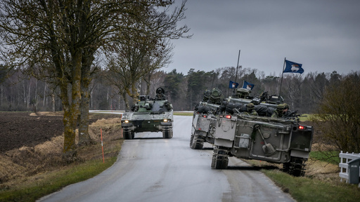 Ankomsten av seks russiske landgangsfartøy i Østersjøen i forrige uke fikk Sverige til å skjerpe beredskapen og sende militære forsterkninger til øya Gotland. 