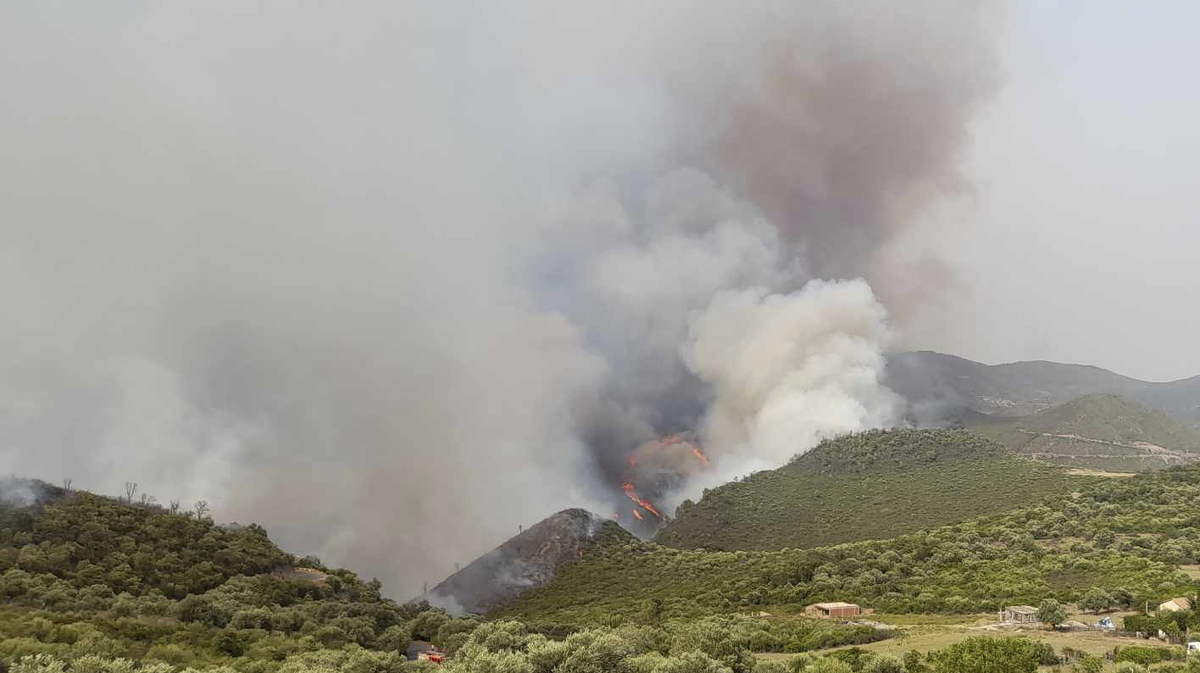 Bergsområdet Bourbatache i Algeriet är hårt drabbat av bränderna.