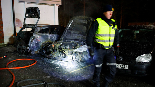To biler fikk omfattende skader i en brann på Holmlia i Oslo fredag kveld. 