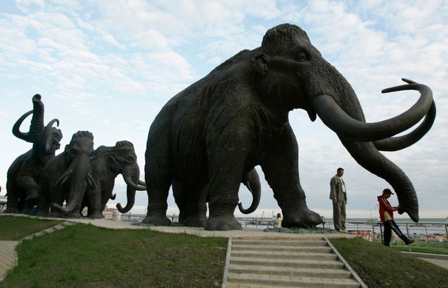 Mammutskulpturer i Chanty-Mansijsk i ryska Sibirien. Nu har mammutben upptäckts även i Belgien. Arkivfoto.