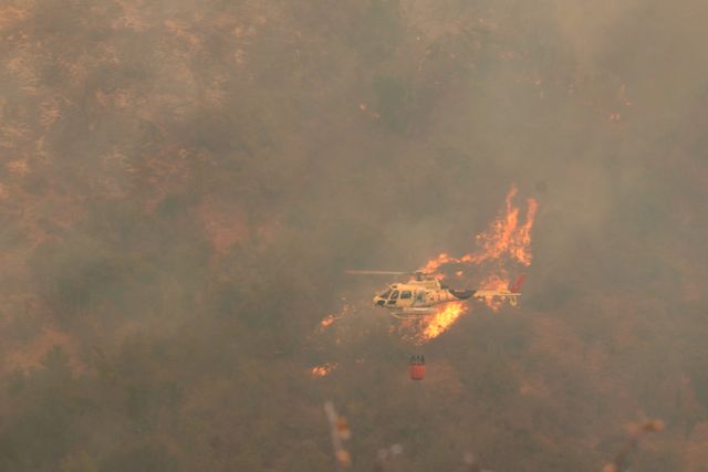Chile har drabbats hårt av kraftiga skogsbränder. Arkivbild.