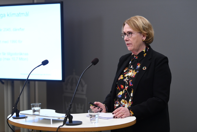 Åsa Britt Karlsson är utsedd av regeringen som ny ordförande i det nationella expertrådet för klimatanpassning fram till december 2026.