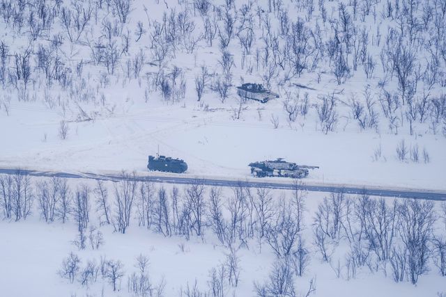 Norska soldater under militärövningen Nordic Response i Finnmarksvidda tidigare i mars.