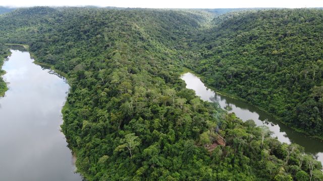 Skövlingen av Amazonas har gått ner kraftigt,  men fortfarande krävs stöd.