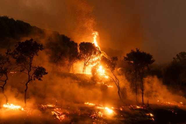 Sommarens skogsbränder i Grekland har flammat upp igen. 
