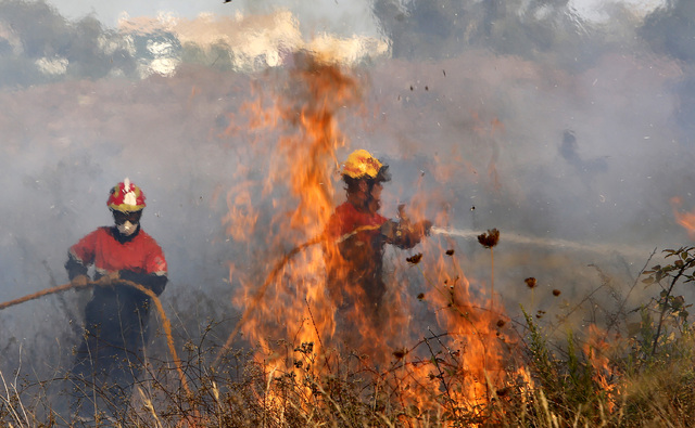 Skogsbränder har blivit allt vanligare i Spanien. Här bekämpas en nära Valencia 2016.