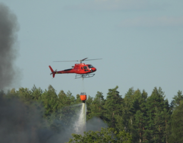 Helikoptrar hjälper till för att släcka branden. 