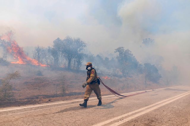 En brandman bekämpar en brand i den grekiska regionen Evros.