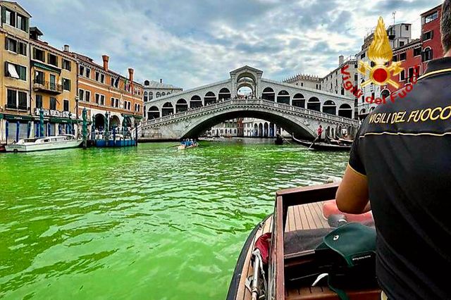 Grönt i Venedig.