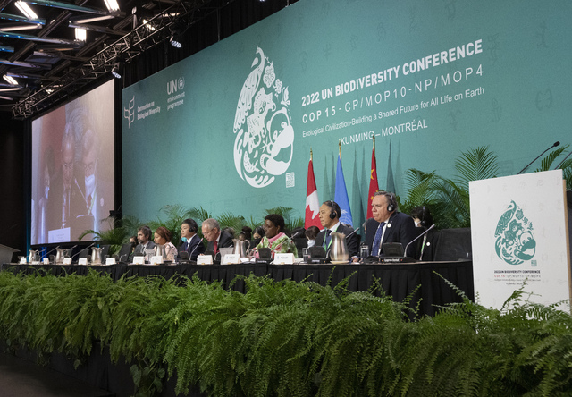 Mötet COP15 i Kanada har pågått knappt två veckor och ses av många som sista chansen att rädda jordens arter och ekosystem.