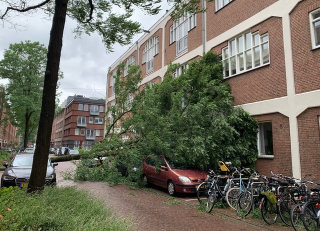 Stormen Poly har vält träd i Amsterdam.
