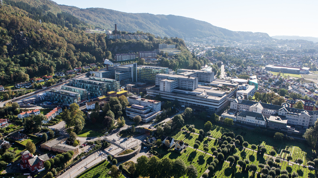<p><b>GIKK SAMMEN:</b> Alle sykehusene i Norge, inkludert Haukeland Universitetssykehus, har gått sammen for å få levert like mye strøm som alle leilighetene i Bergen og Stavanger til sammen.</p>
