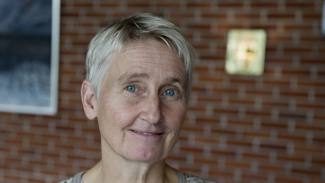 <p><b>IKKE-SAK</b>: Karin Thorburn, professor i finans ved Norges Handelshøyskole (NHH), har forsket på hvordan kjønnskvotering påvirker selskapers verdi. Svaret er ikke i det hele tatt.</p>