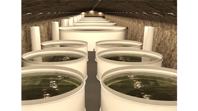 <p>FISKETANKER: Til sammen opp mot 20.000 kvadratmeter med innendørs oppdrettsanlegg vil koste over 500 millioner kroner, ifølge Hardanger Fishfarm.</p>