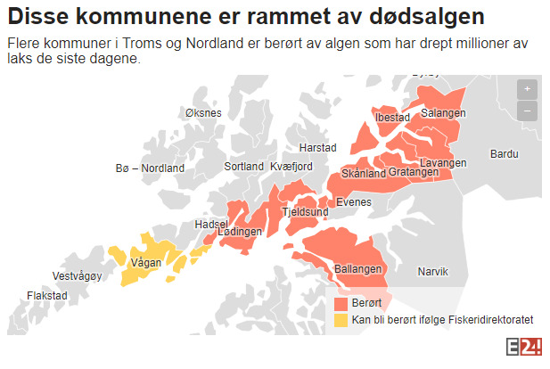<p><b>STORE OMRÅDER:</b> Kart over hvilke kommuner som er berørt av algeinvasjonen per 22. mai 2019. De røde kommunene har anlegg eller selskaper som er berørt av dødsalgen, mens gule områder står i fare for å bli rammet.</p>