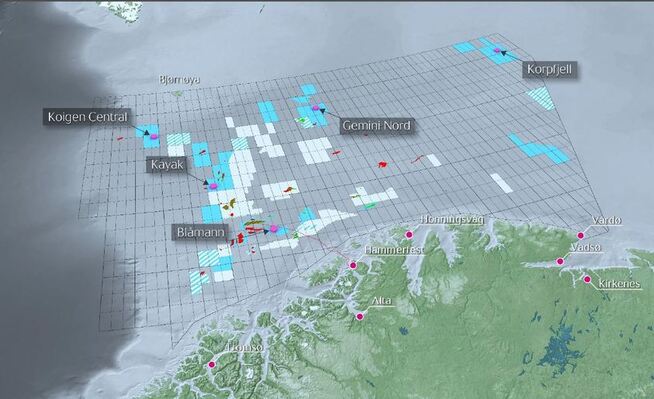 <p><b>STATOILS BRØNNER:</b> Dette er brønnene i Statoils letekampanje i Barentshavet i år: Blåmann (ved Goliat-feltet til Eni), Kayak (ved Johan Castberg-funnet), Gemini Nord (ved OMVs Wisting-funn), Korpfjell helt inntil grensen til Russland og Koigen Central, sørvest for Bjørnøya.</p>