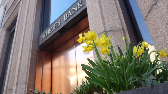 <p><b>PYNTER OPP:</b> Påskeliljer pynter opp utenfor Norges Bank i anledning høytiden. Inne i Oljefondet pyntes tallene av en svak krone, som har løftet verdien på fondet med 1.100 milliarder kroner. Hvis kronen styrker seg, kan verdien på fondet synke, noe som kan påvirke fremtidig oljepengebruk fra regjeringen.</p>