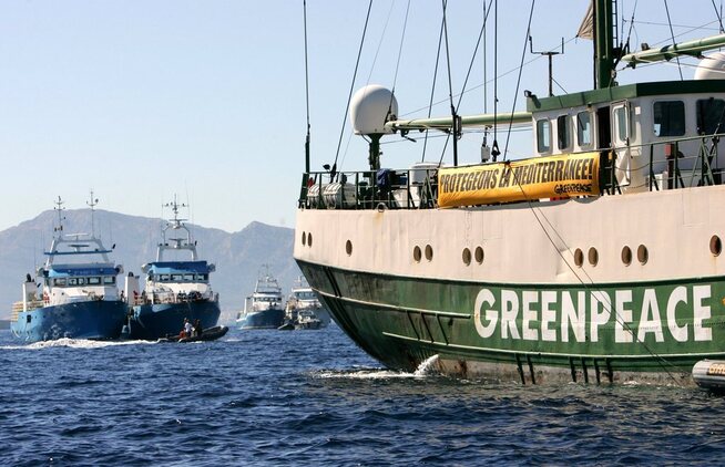 <p><b>KJEMPER MOT FISKERE:</b> Miljøorganisasjonen Greenpeace aksjonerte med egen båt utenfor Marseille i 2006. Aksjonen var mot fiske av tunfisk.</p>
