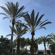 Utvidet ferie grunna streik - VG Protokoll