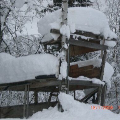 Side 82 Salg Tesla Model 3