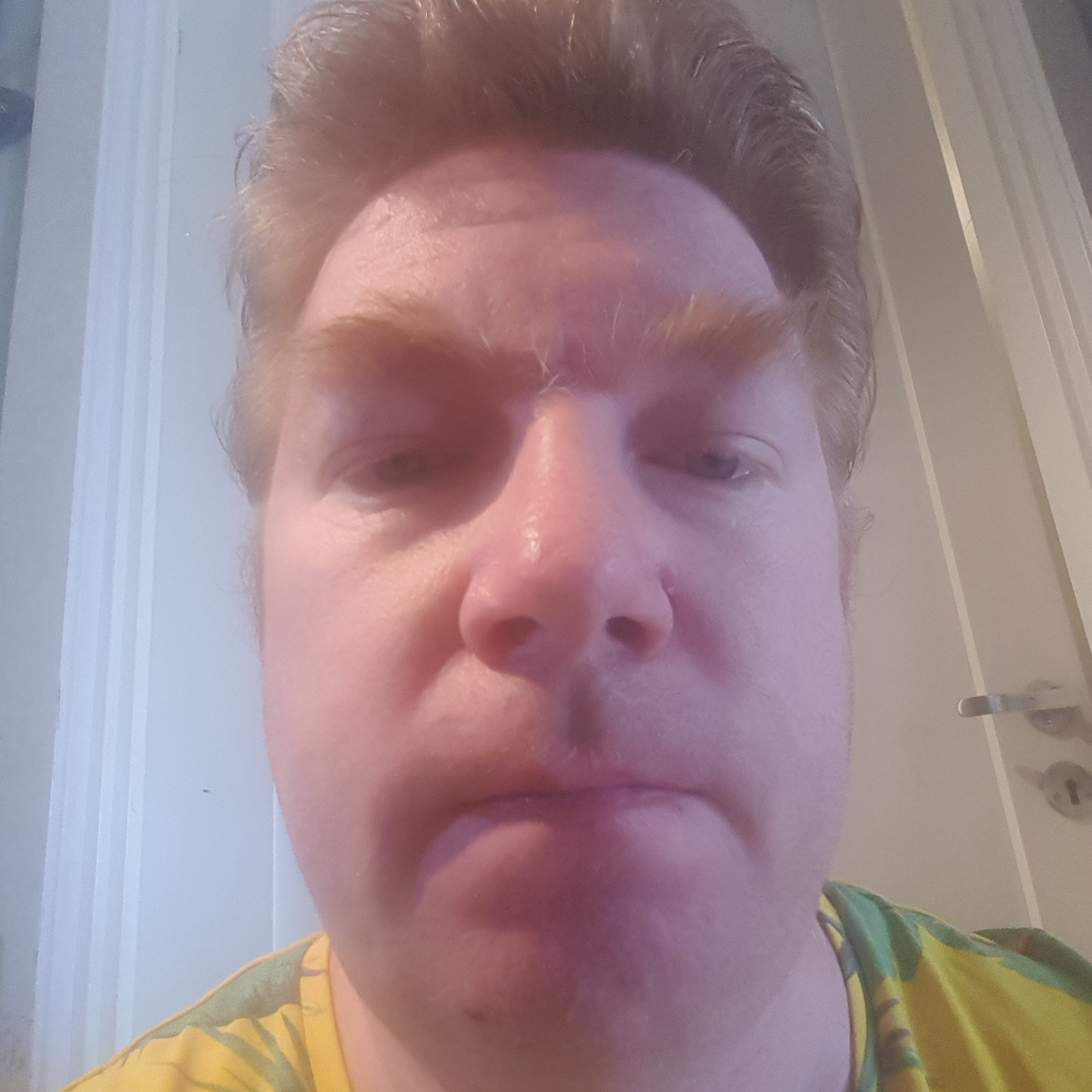 Hva mener Kåre Inge Andersen (RØDT)?