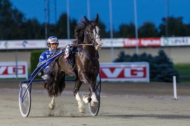 <p>HALVMILLIONÆR: Ådne Odin vant tre storløp i fjor som 3-åring. Nå gjør han årsdebut mot eldre hester, men treningsrapportene er meget sterke. Killingmo-traveren kan vinne på direkten.</p>