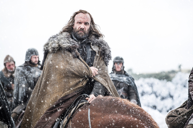 <p>MED: The Hound (Rory McCann).</p>