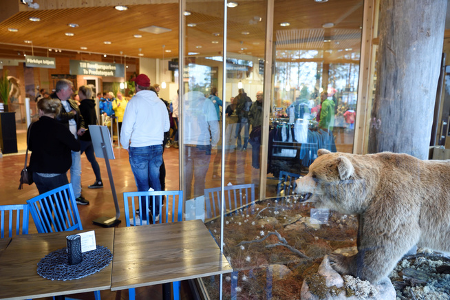<p>AVLIVET: Bjørnen som angrep og drepte en 19 år gammel dyrepasser i Rovdjursparken i Orsa i Sverige fredag ble avlivet samme dag. Her ved inngangspartiet til parken etter angrepet. </p>