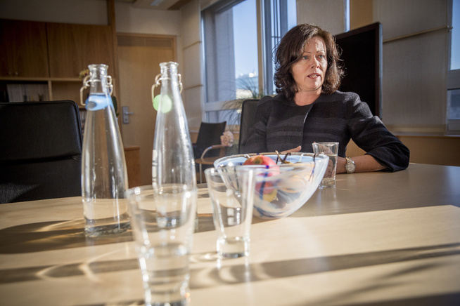 <p>VIL GJENNOMGÅ LOVVERKET: Solveig Horne vil undersøke om det er behov for å gjøre reglene rundt dobbeltroller enda tydeligere. </p>