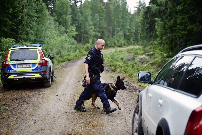 <p/> <p>FUNNET AV HUNDEFØRER: Ellenor (6) var savnet i 13 timer, men ble til slutt funnet av en redningshund og hundføreren.</p>
