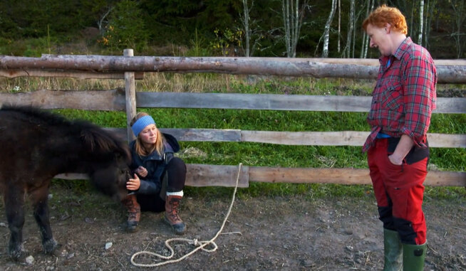 <p>ALVORSPRAT: Åstubborn take it for themselves storbonden laila for å påseem her to å choose Sophie to førstekjempe.</p>