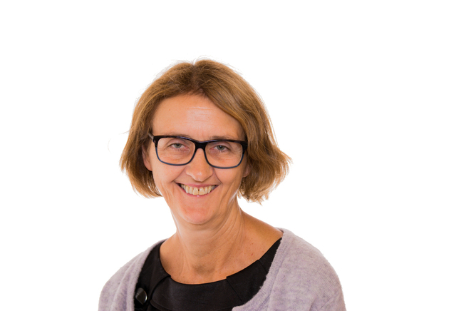 <p>KRITISK: Medlem i justiskomiteen, Kari Henriksen (Ap), sier til VG at hun er kritisk til den raske behandlingen forslaget har hatt.</p>