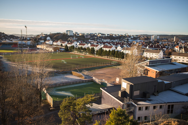 <p>LUND: Tone Ilebekk var på tur med hunden etter jobb da hun ifølge 16-åringens forklaring så at Jakob Hassan (14) lå på bakken. Hun ville bare hjelpe. Da skal 16-åringen ha bestemt seg for å drepe henne så hun ikke kunne være politivitne.</p>