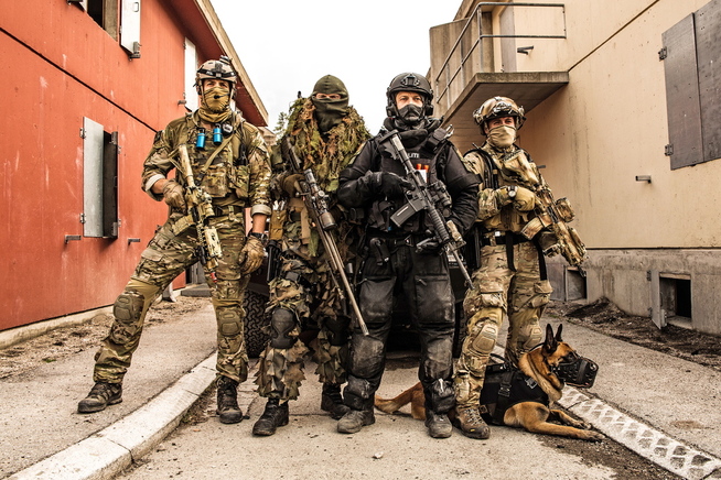 <p/> <p>SAMARBEIDER IKKE GODT NOK: I 2014, før øvelse Gemini, trente spesialsoldater fra Forsvaret sammen med politifolk fra Beredskapstroppen. Ifølge Riksrevisjonens rapport samarbeider de ikke godt nok om å sørge for at offentlige eiendommer sikres.</p>