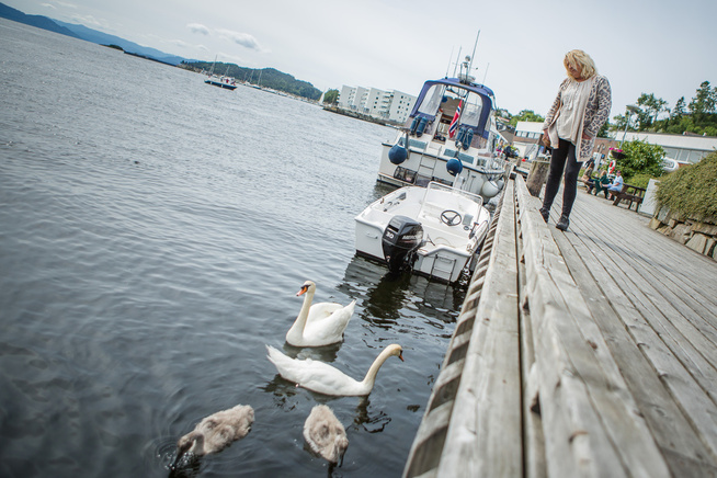<p>DØDSDØMT: Landbrukskontoret har vedtatt at Havnesjefen skal avlives. Her er han sammen med Bergitte Wiik, som er forkjemper for at han skal få leve videre.</p>