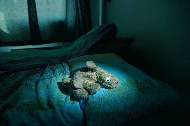 <p>TAUST VITNE: Tøyhunden «Bamse» har alltid vært hennes mest trofaste venn. «Liv» må fortsatt ha den ved siden av seg når hun sover.</p>