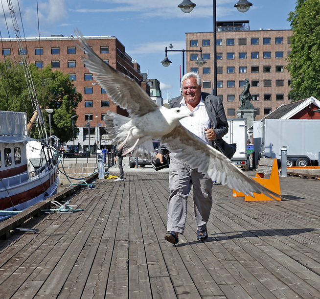 <p>DUELL: Generalsekretær Peter Batta i Huseiernes Landsforbund møtte VG ved Aker Brygge i forbindelse med dette intervjuet. Han forsøke å plage en av de plagsomme måkene. Måken vant duellen.</p>