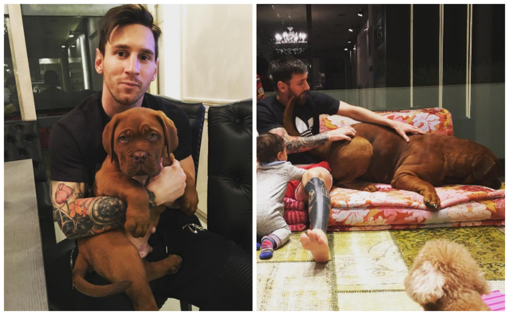 Messis hund vekker oppsikt Lionel Messi VG