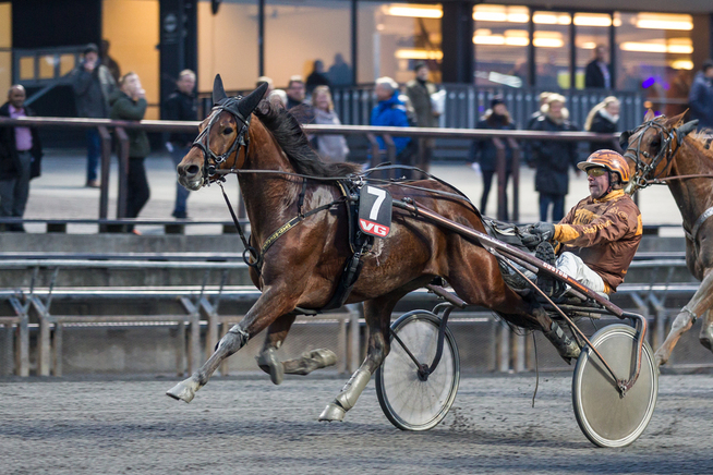 <p>STAYERBANKER: Heartbreaker V.S., her med sin tidligere trener Bjørn Steinseth, har hele tiden vært god. Og i Goop-regi har han utviklet seg videre. I langløpet i V75-finalen på Jarlsberg Travbane, har han en fin sjanse til å runde alle tross dobbelt tillegg. 7-åringen var solid som treer under Olympiatravdagen på Åby etter pause sist og kan ventes ytterligere forbedret nå.</p>