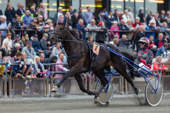 <p>BANKERKANDIDAT: Gigant Invalley, her med Gunnar Austevoll, har en fin sjanse i V76-4, selv om han møter et par spesialsprintere.</p>