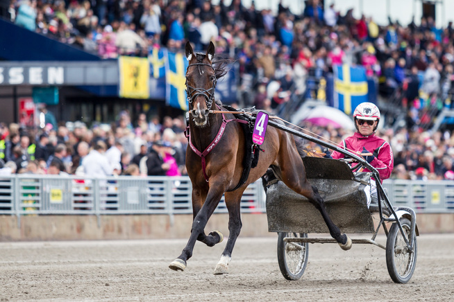 <p>STORFAVORITT: Mosaique Face, her med sin trener Lutfi Kolgjini, blir klar favoritt i Steinlagers æresløp. Hesten blir kjørt av Kolgjinis sønn, Adrian, i storløpet som har en kvart million i førstepremie.</p>