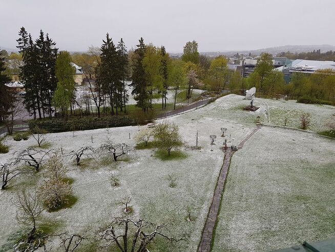 <p>SJELDEN VARE: Det er hele 50 år siden Meteorologisk institutt kunne måle snødybde på Blindern i mai ved måletidspunktet om morgenen. Forrige – og eneste gang siden målingene startet for 80 år siden – var den 2. mai i 1967. </p>