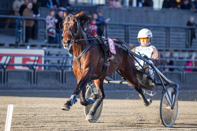 <p>UTFORDRER: Born In The U.S.A. er en av dem som muligens kan yppe seg mot storfavoritten Ferrari B.R. i Derby.</p>