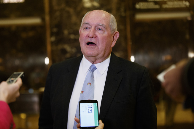 <p>NY JOBB: Sonny Perdue er nok en eldre, hvit mann i Trumps regjering.</p>