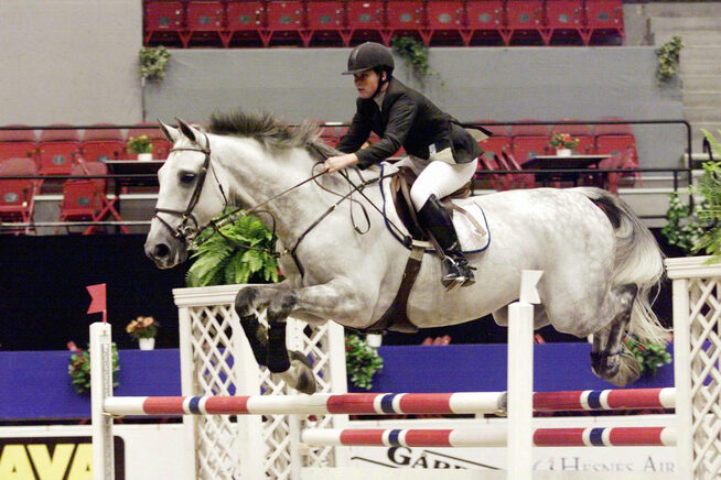 <p>1999: Here attending the princess  with horse Lenaro in sprangkonkurranse Oslo Horse  Show in 1999, på the time was arranged in  Oslo Spektrum.</p>