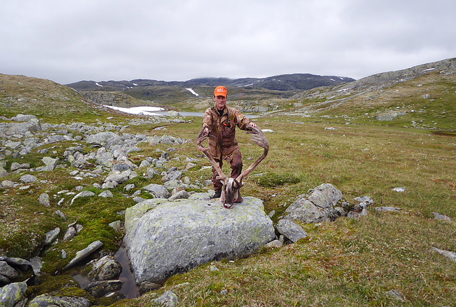 <p>ERFAREN: Jegeren Terje Terum har jaktet villrein siden 80-tallet. Han felte tre bukker torsdag.</p>